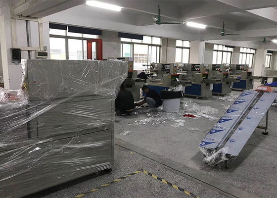 Máquina horizontal del envasado de alimentos congelado del acero inoxidable